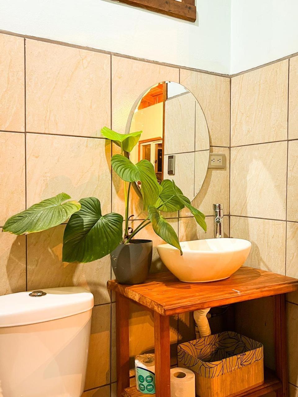 Appartement Ficus House à Boca Tapada Extérieur photo